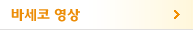 바세코 영상